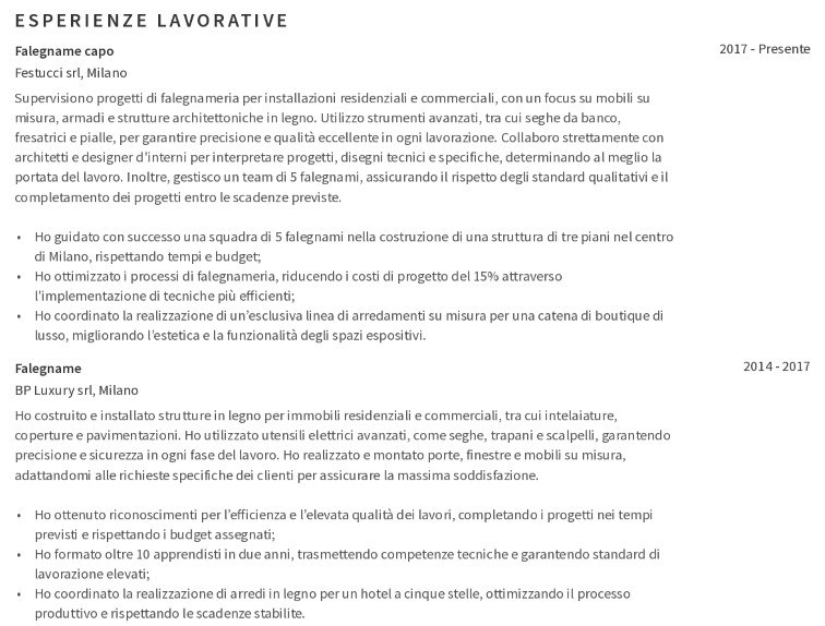 esperienza lavorativa nel CV per falegname
