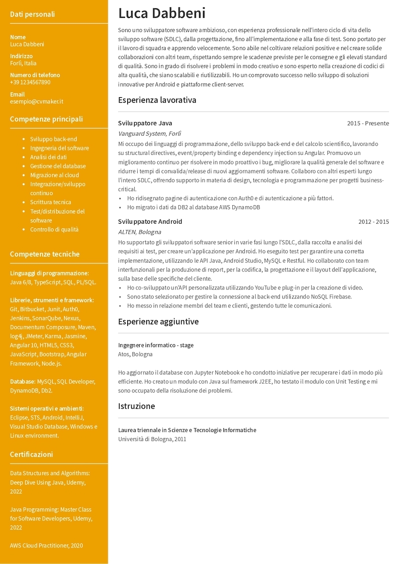 esempio di CV per sviluppatore software esempio di CV per sviluppatore software