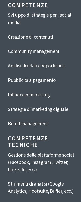 social media manager cv competenze